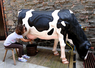 Bessy the milkable cow.jpg